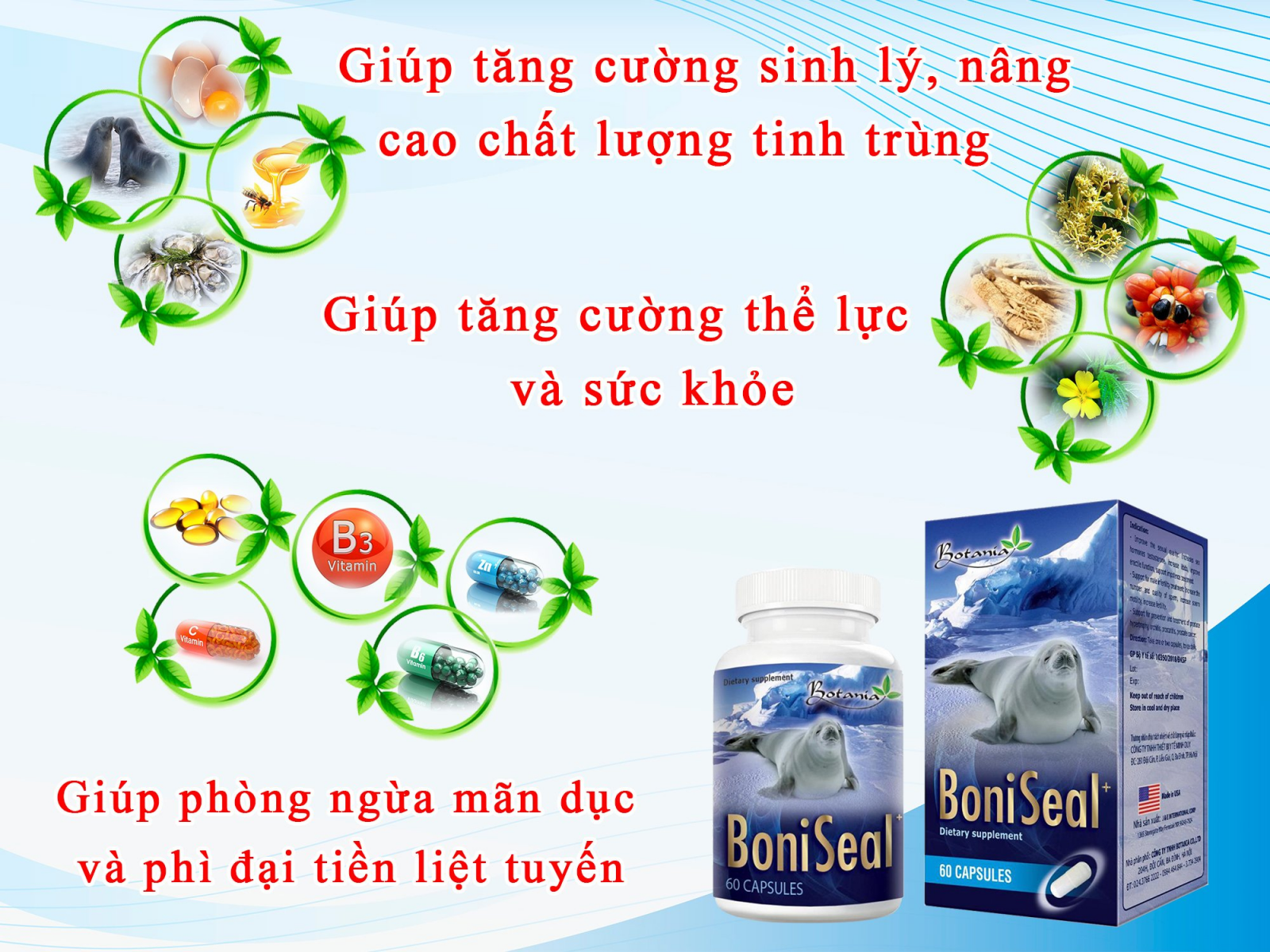 Thành phần BoniSeal +