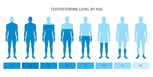 Nồng độ hormone sinh dục testosterone suy giảm theo tuổi tác