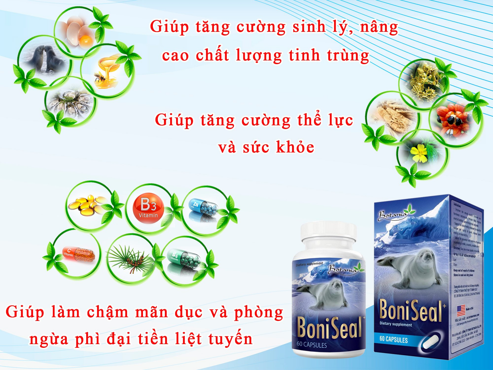 Công thức thành phần toàn diện của  BoniSeal +