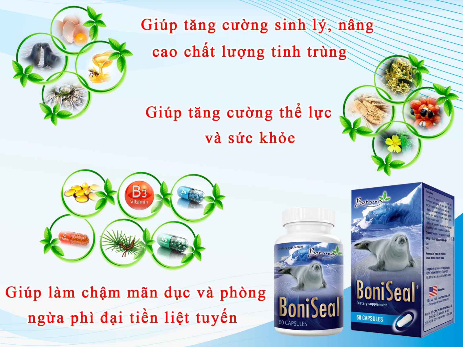 Công thức đột phá của BoniSeal +