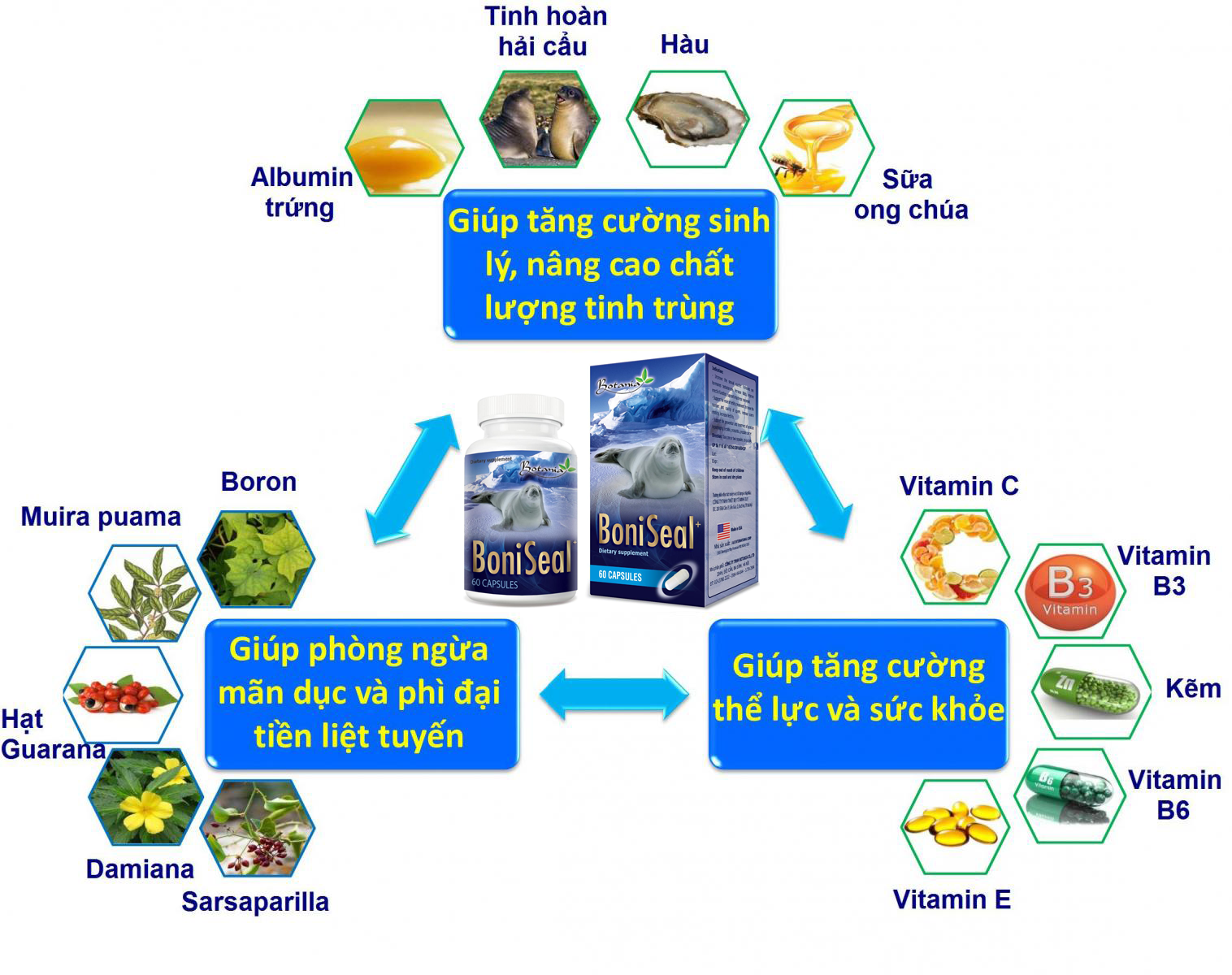 Công thức đột phá của BoniSeal +