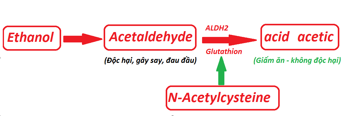 N-Acetylcysteine giúp giải rượu hiệu quả