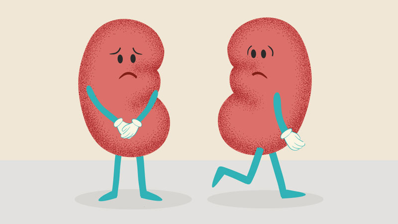 Uống trà sau bữa nhậu sẽ làm suy giảm chức năng thận
