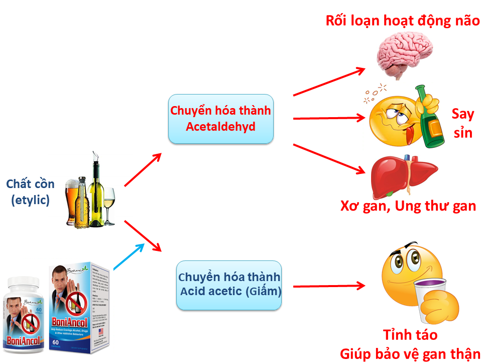 Viên giải rượu BoniAncol dùng có tốt không ? Uống BoniAncol có hại không ?