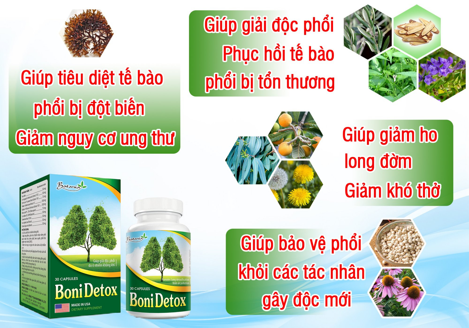 Công thức thành phần toàn diện của BoniDetox