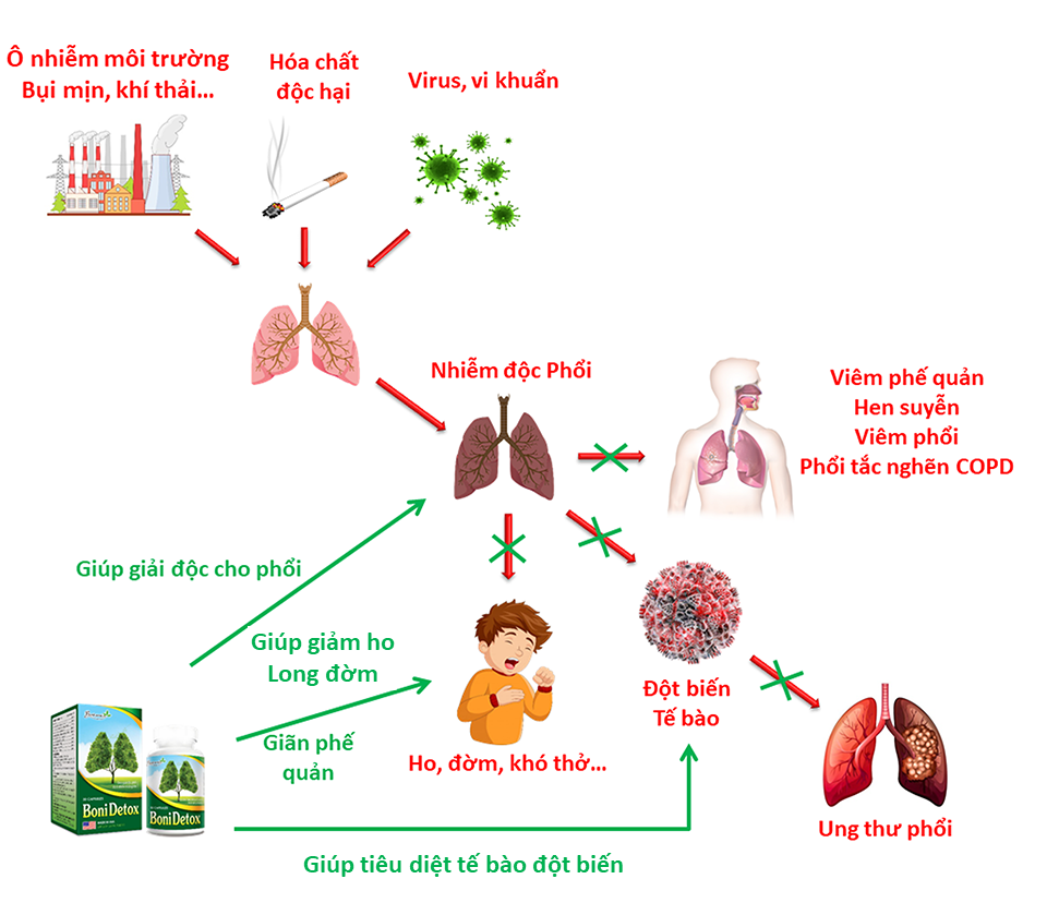 Công dụng của BoniDetox