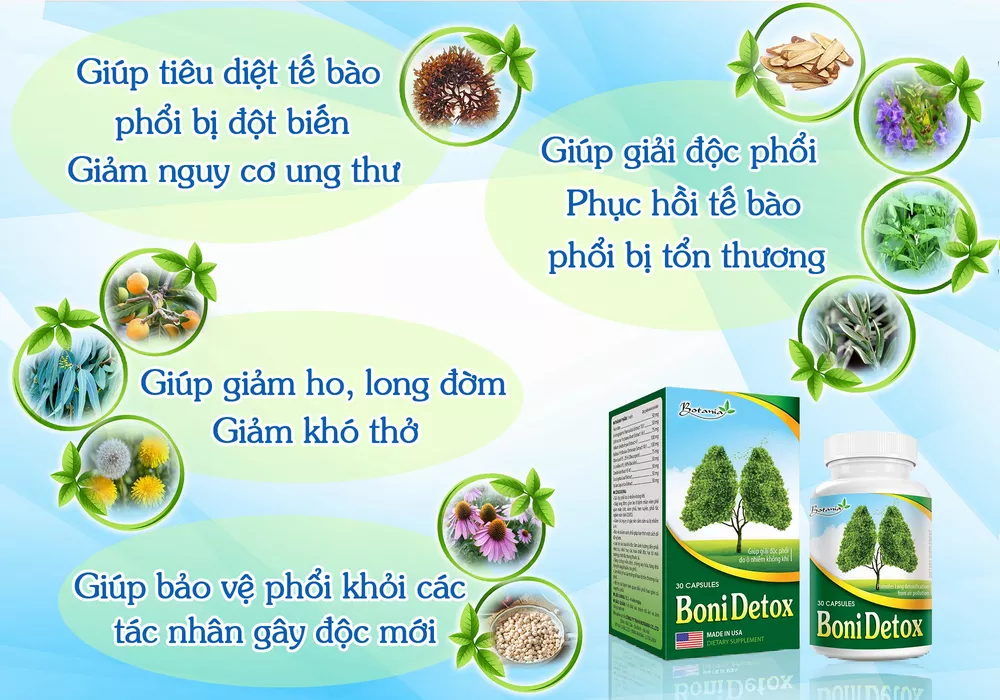 Hình ảnh thành phần sản phẩm BoniDetox