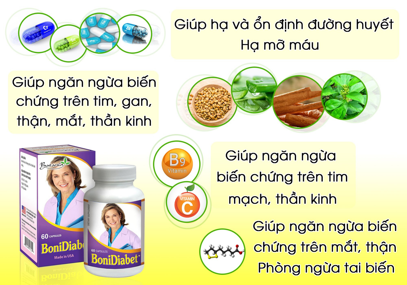 Thành phần BoniDiabet +