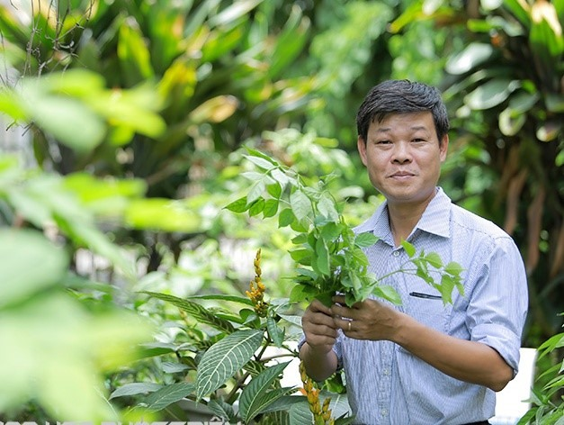 Ts Trần Văn Ơn là người tìm ra dây thìa canh ở Việt Nam