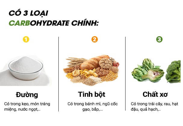 Chất xơ cũng được coi là một trong những carbohydrates