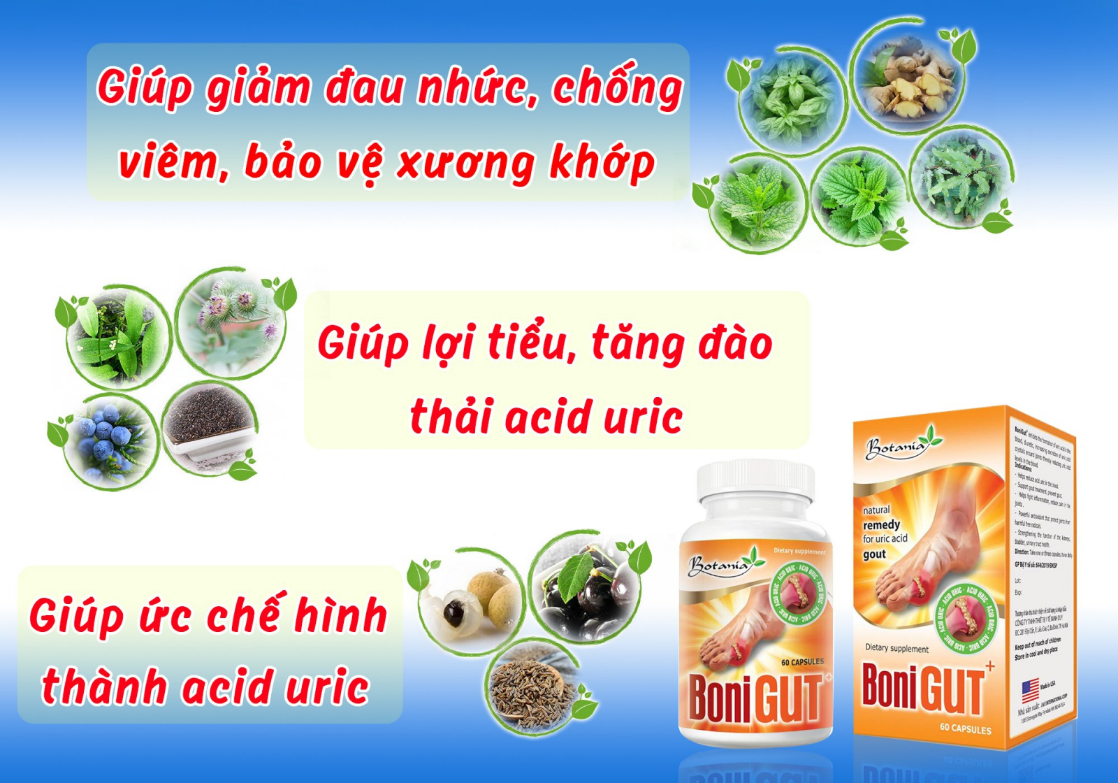 Tác dụng toàn diện của BoniGut +