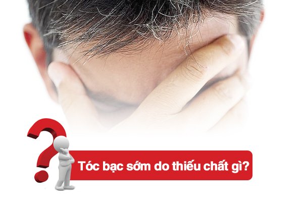 Tóc bạc sớm do thiếu chất gì