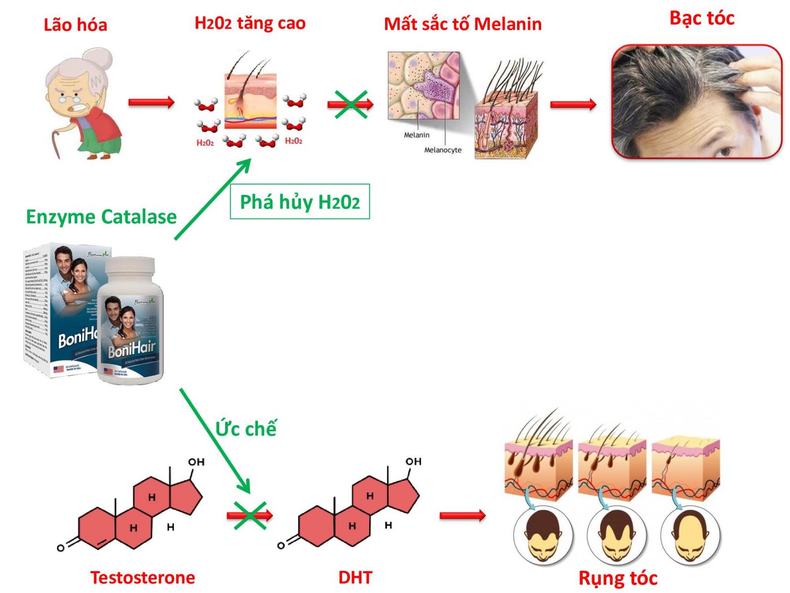 Công dụng của BoniHair