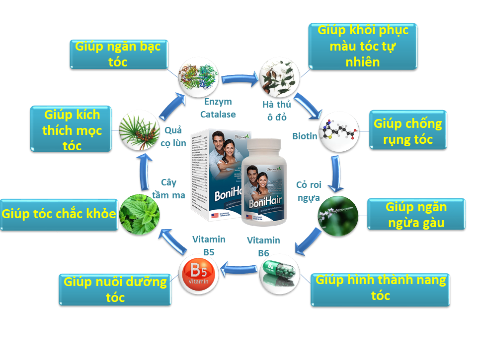 Thành phần ưu việt của BoniHair