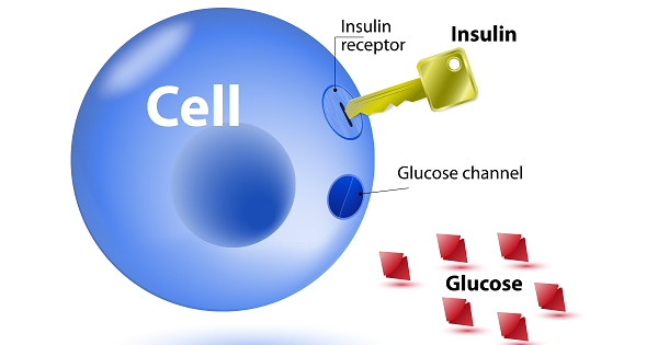  Thiếu ngủ có thể làm tăng đề kháng insulin