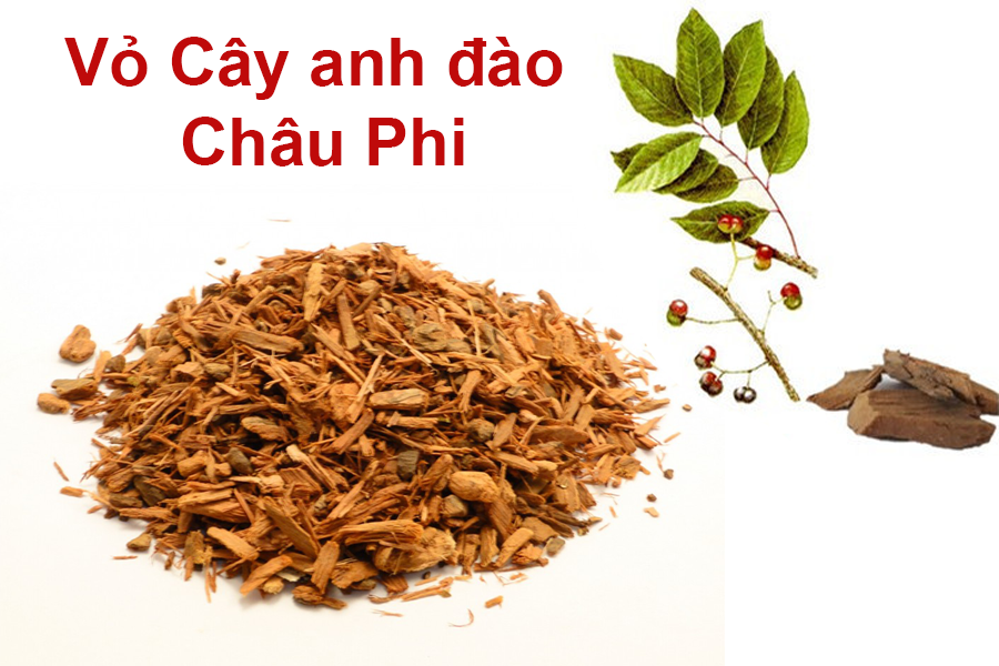 Vò cây anh đào châu Phi giúp cải thiện bệnh phì đại tuyến tiền liệt