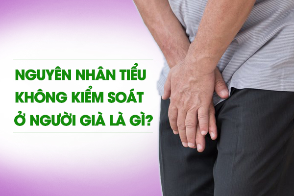 Nguyên nhân tiểu không kiểm soát ở người già là gì?