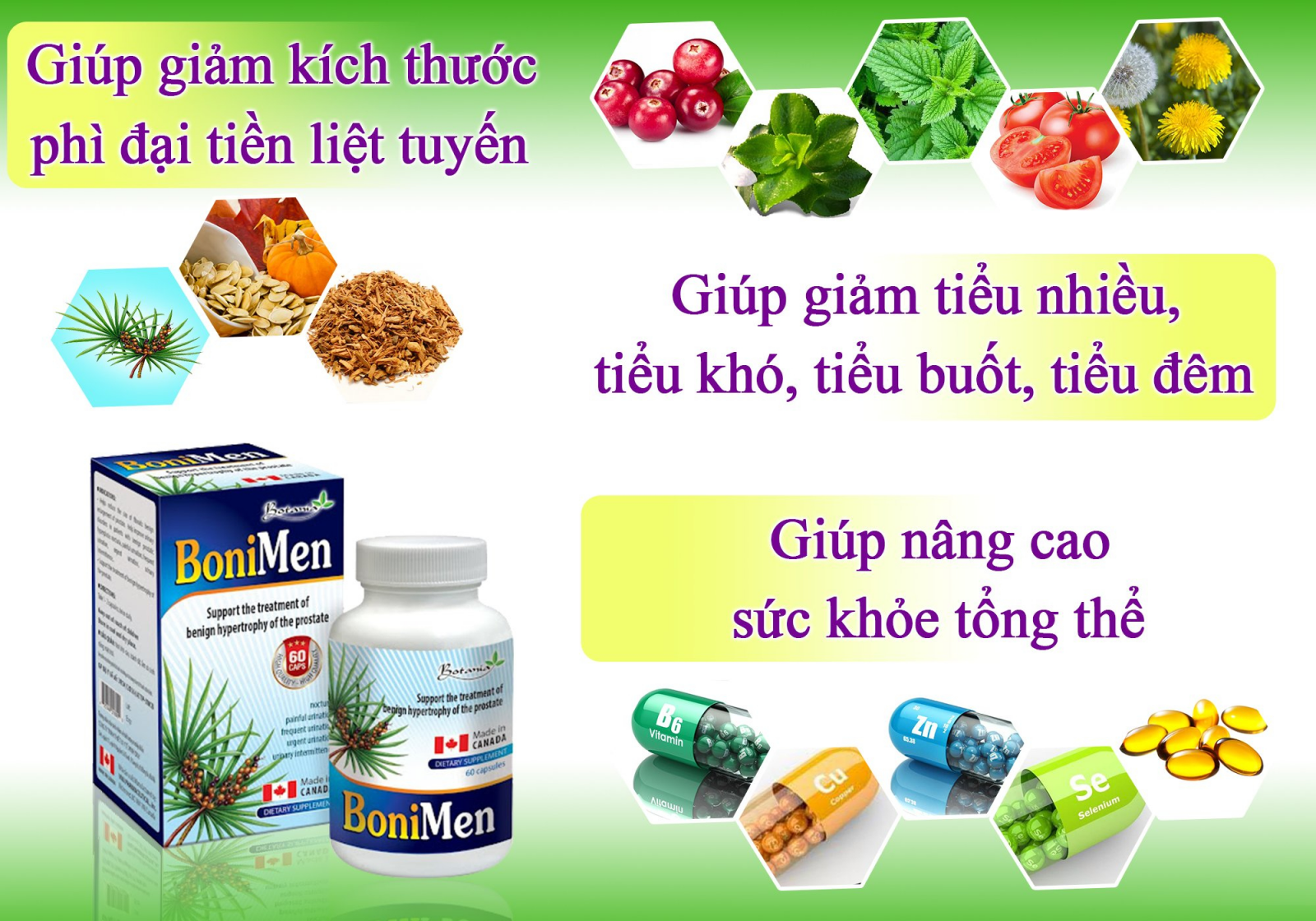 Công thức toàn diện của BoniMen