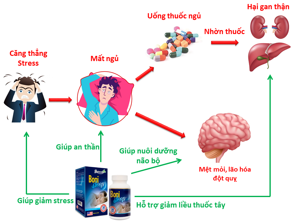 công dụng BoniSleep