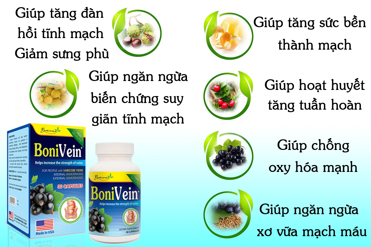 Thành phần BoniVein +