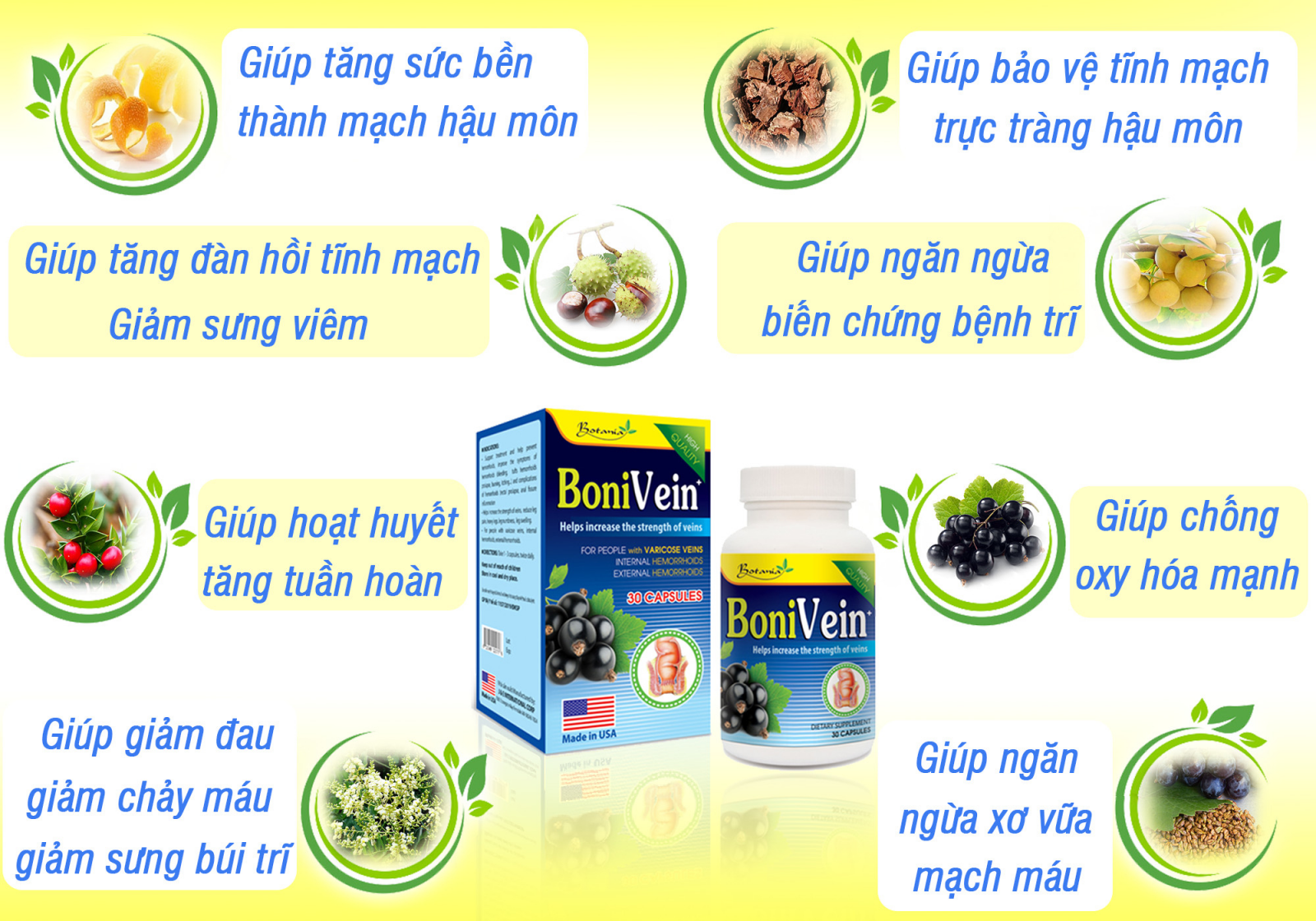 Thành phần toàn diện của BoniVein +