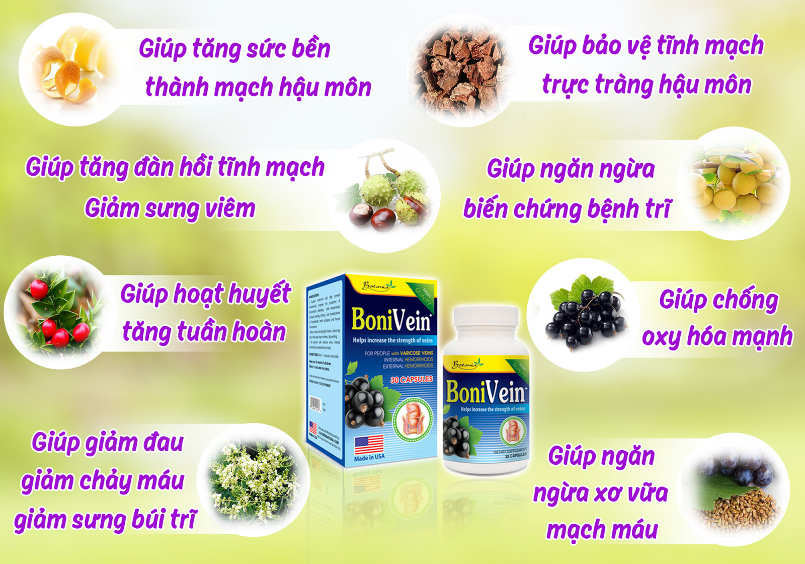 Công thức thành phần toàn diện của BoniVein +