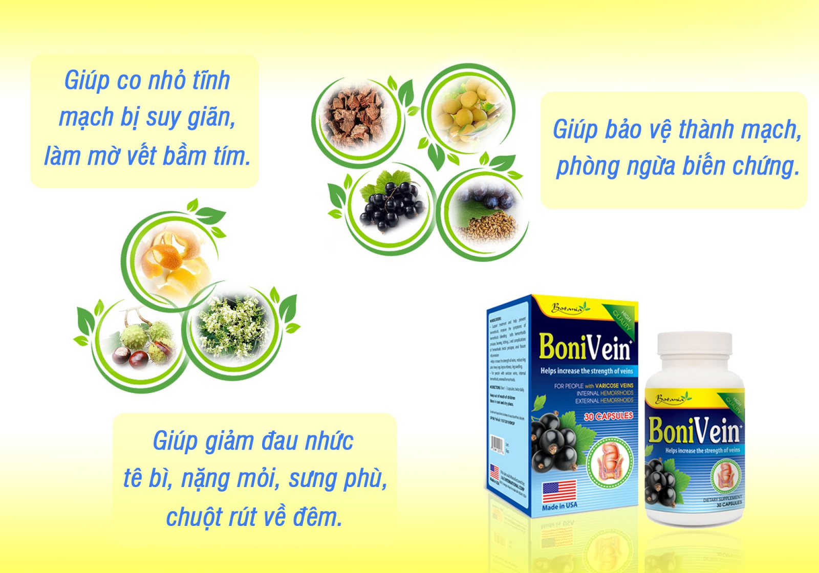 Thành phần BoniVein +