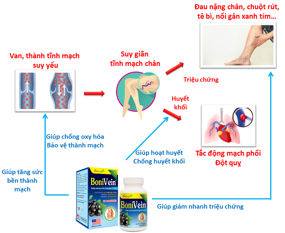 Tác dụng toàn diện của BoniVein +