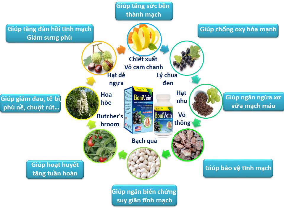 Thành phần toàn diện của BoniVein