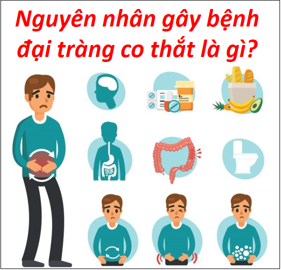 Nguyên nhân gây bệnh đại tràng co thắt là gì? - Giải pháp khắc phục ...