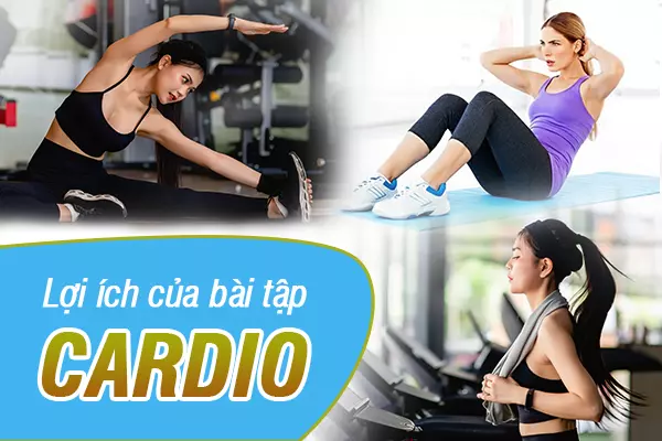 Bài tập cardio đem lại lợi ích gì cho cơ thể?