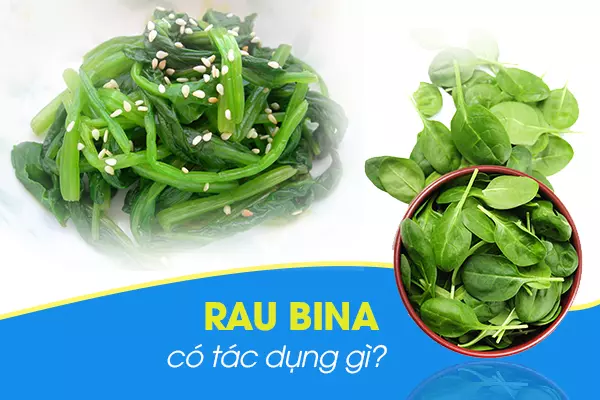 Tác dụng của rau bina là gì? Rau bina nấu món gì ngon?