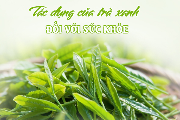 Các tác dụng của trà xanh với sức khỏe mà bạn không thể bỏ qua