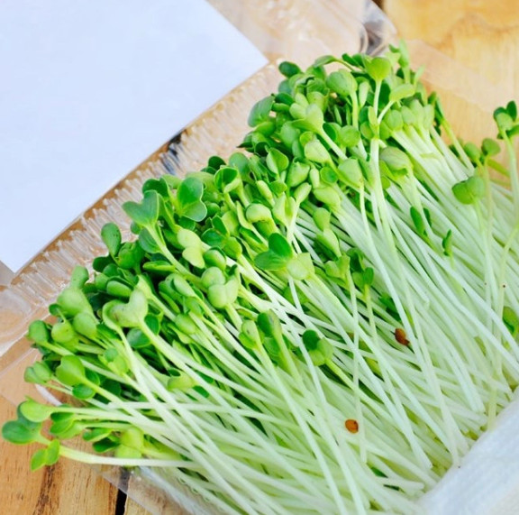 Lợi ích của rau mầm với sức khỏe mà bạn không thể bỏ qua