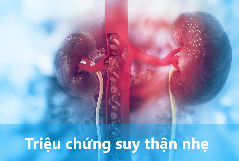 Top 7 triệu chứng suy thận nhẹ bạn cần biết