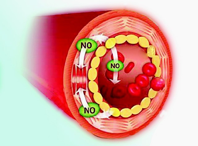 Oxit nitric tốt cho sức khỏe tim mạch